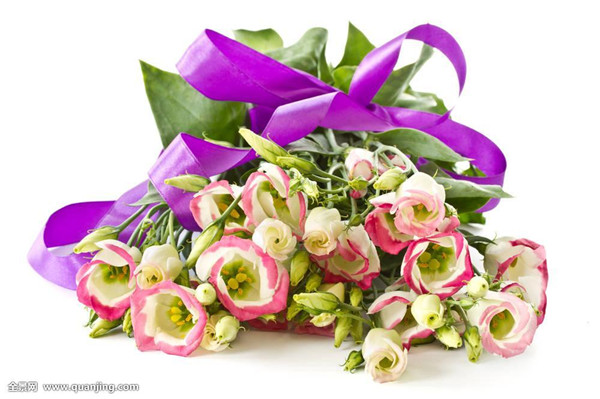 洋桔梗叶子发黄怎么办 洋桔梗叶黄这样做就可以轻松解决哦