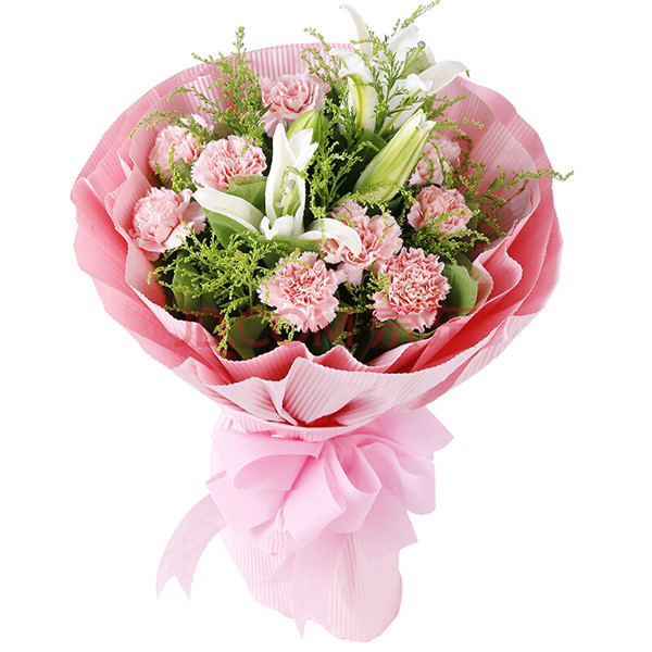 如何快速让康乃馨开花 要想康乃馨快速开花这样养护就可以啦