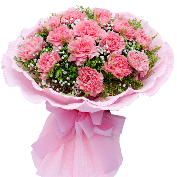 如何快速让康乃馨开花 要想康乃馨快速开花这样养护就可以啦