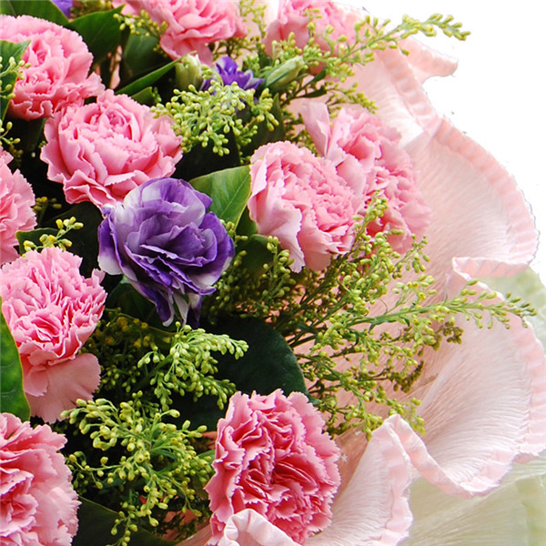 康乃馨花谢后怎么处理 康乃馨花谢后这样养护会再次开花哦