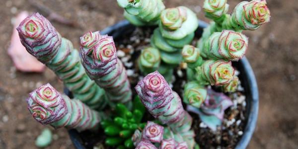 Ǯ��Ҷ��������ô�� ���û���ô����ͺ���