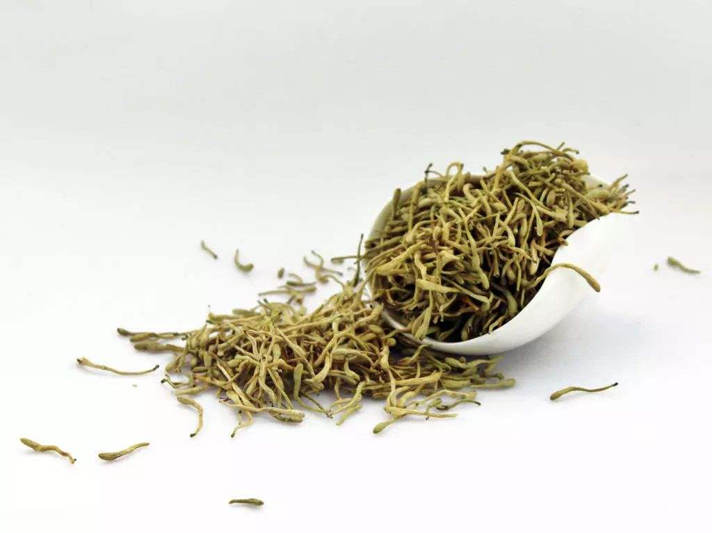 金银花的功效与禁忌有哪些?注意这几种人不能喝金银花哦