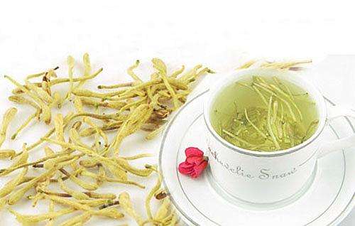 金银花的功效与禁忌有哪些?注意这几种人不能喝金银花哦