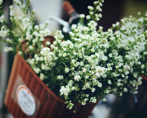 ϸҶѩ�ѻ�����������������Щ�������⼸���´ξ��Բ������ϴ���