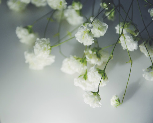 ϸҶѩ�ѻ�����������������Щ�������⼸���´ξ��Բ������ϴ���