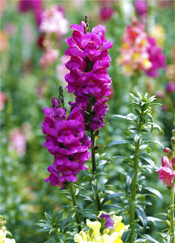 ����ݿ���Ǥ���� ��������ȫ�Ľ����Ǥ�己ֳ����С����