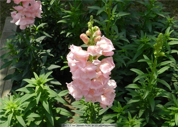 ����ݿ���Ǥ���� ��������ȫ�Ľ����Ǥ�己ֳ����С����