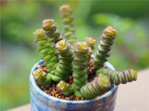 ����Ǯ����ô��ֳ�������� ��ô��Ǯ����ֳ���