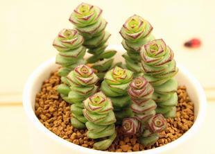 ����Ǯ����ô��ֳ�������� ��ô��Ǯ����ֳ���