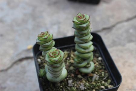 Ǯ����ô���跽������ ����������Ǯ�������Ŷ