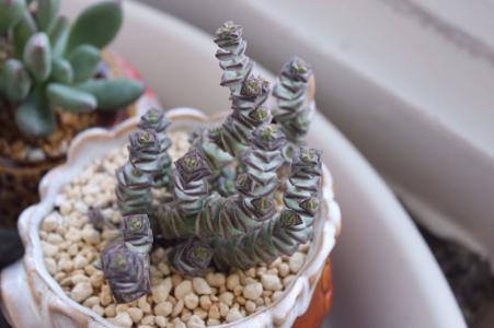 Ǯ����ô���跽������ ����������Ǯ�������Ŷ