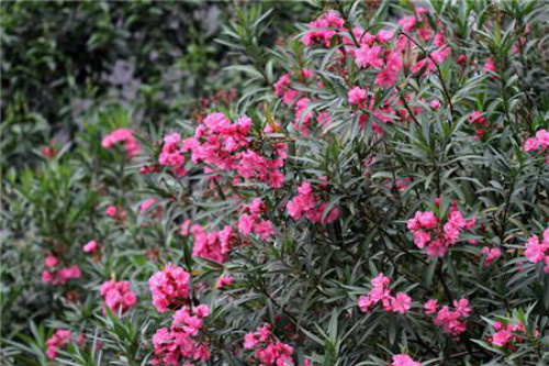 �컨������ʲôʱ�򿪻� �컨�����ҿ������������������⼸��Ŷ