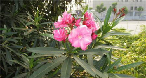 �컨������ʲôʱ�򿪻� �컨�����ҿ������������������⼸��Ŷ