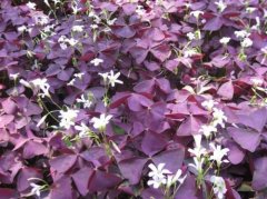 �����ݶ�ý�һ��ˮ����� ��ô�������ݽ�ˮ��ѧ������