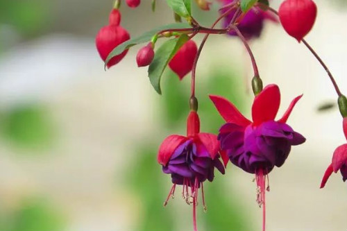 ���ҽ���ʲôʱ�򿪻������ҽ��Ӳ�����ԭ�򼰴�������������