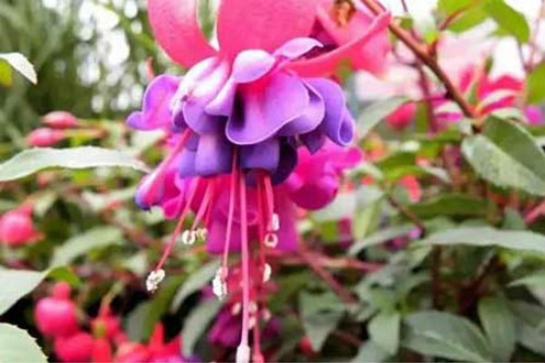 ���ҽ���ʲôʱ�򿪻������ҽ��Ӳ�����ԭ�򼰴�������������