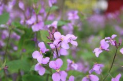 ��������������ʲô���ӵ� ��ֱ���ǻ��������൱�Ի�