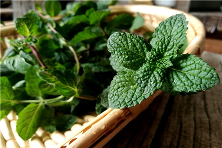 ���Ա��ɵ���ֳ������ϸ���� ��ô�������Ա��ɳ������