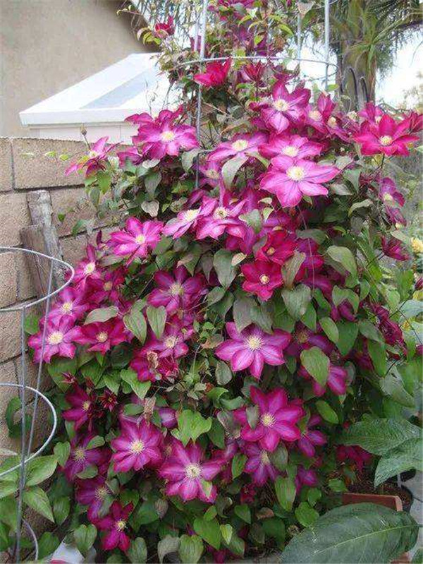 �������ļ���ô�� �ļ������������������Բ����д�