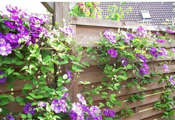 �������ļ���ô�� �ļ������������������Բ����д�