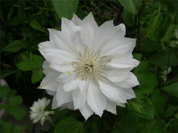 �������ļ���ô�� �ļ������������������Բ����д�