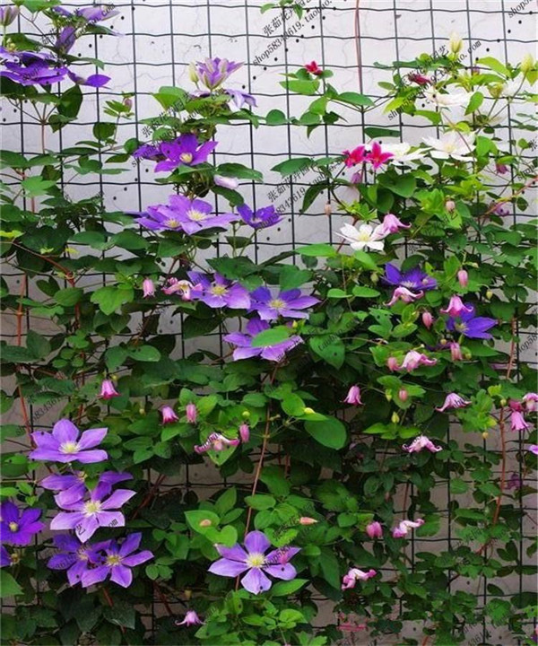 �������ļ���ô�� �ļ������������������Բ����д�