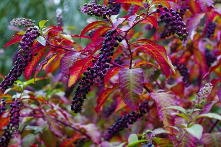 ��½��ô��ֳ������ȫ  ��½��Щ�������溦���ݺ���