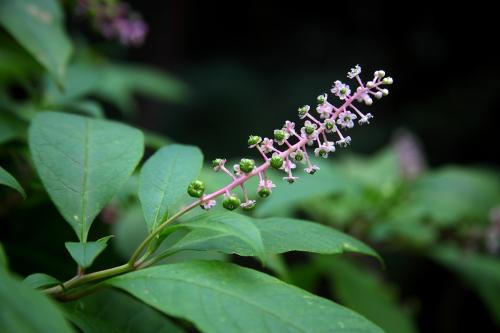 ��½��ô��ֳ������ȫ  ��½��Щ�������溦���ݺ���