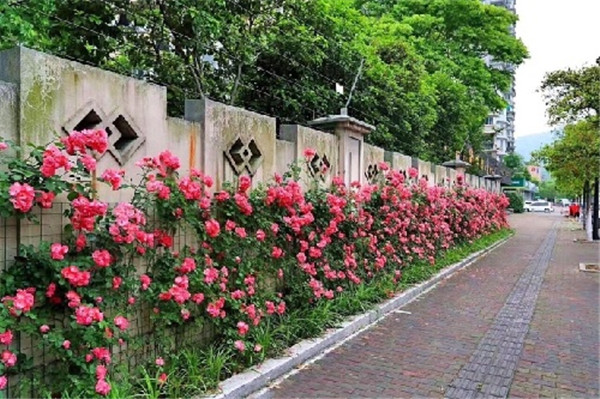 �ٱ��¼����ǣ������ ��Щ�޼�ǣ��С������������ܴ���