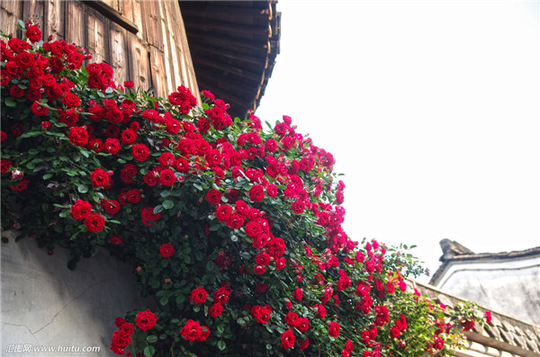 �ٱ��¼����ǣ������ ��Щ�޼�ǣ��С������������ܴ���