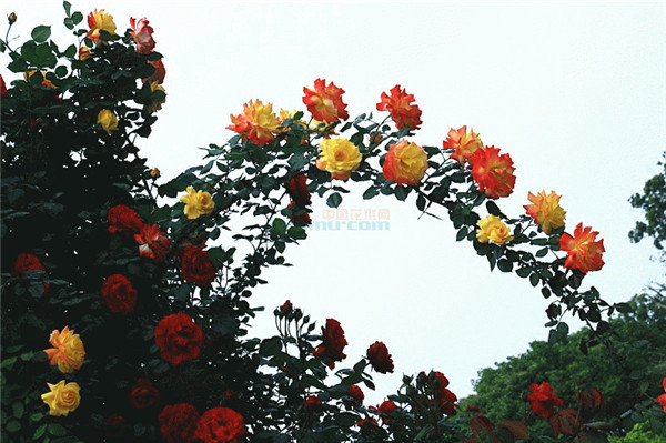 �ٱ��¼����ǣ������ ��Щ�޼�ǣ��С������������ܴ���