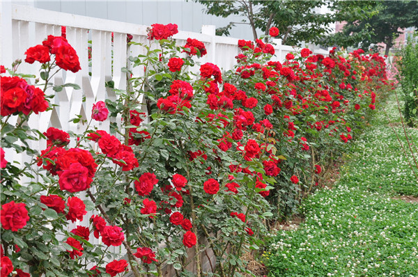 �ٱ��¼����ǣ������ ��Щ�޼�ǣ��С������������ܴ���