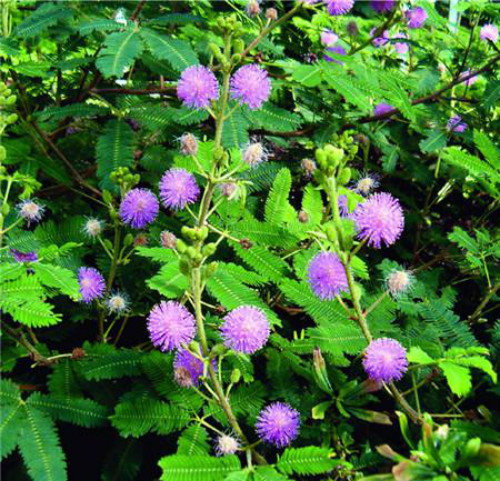 ߲ôˮʩ  ߲ݵˮʹɿ