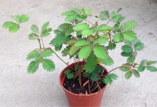 ߲ôˮʩ  ߲ݵˮʹɿ