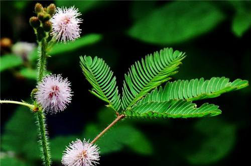 ߲ôˮʩ  ߲ݵˮʹɿ