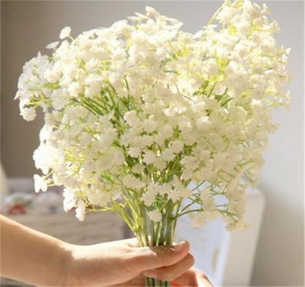 盆栽满天星好养吗 原来满天星需要这样养护才长得好