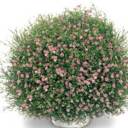 ������������ô��ˮ �������ļ���ˮ����С���ɿ�����