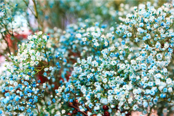 ��������ô�޼� ��������ȫ�������ǵ��޼�����ͼ��