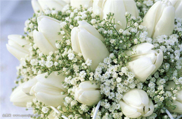 ��������ô�޼� ��������ȫ�������ǵ��޼�����ͼ��