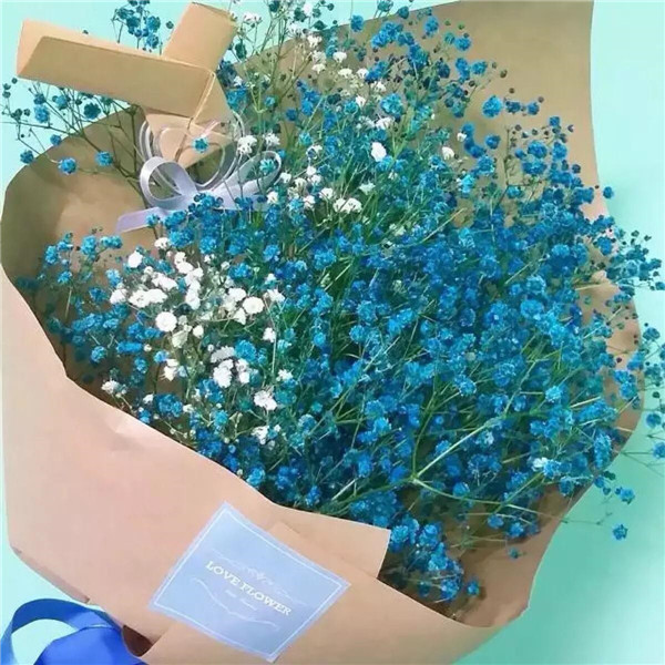 ��������ô�޼� ��������ȫ�������ǵ��޼�����ͼ��