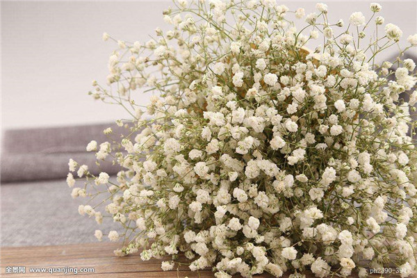 ��������ô�޼� ��������ȫ�������ǵ��޼�����ͼ��