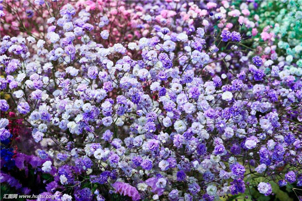 ��������ô�޼� ��������ȫ�������ǵ��޼�����ͼ��