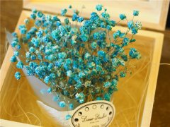 ����������������ô�� ��ʵֻҪ���պ������оͿ�����