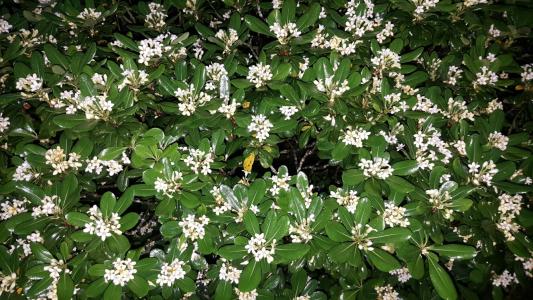 ��������ô��ˮ�������� ��ô�������㽽ˮѧ������