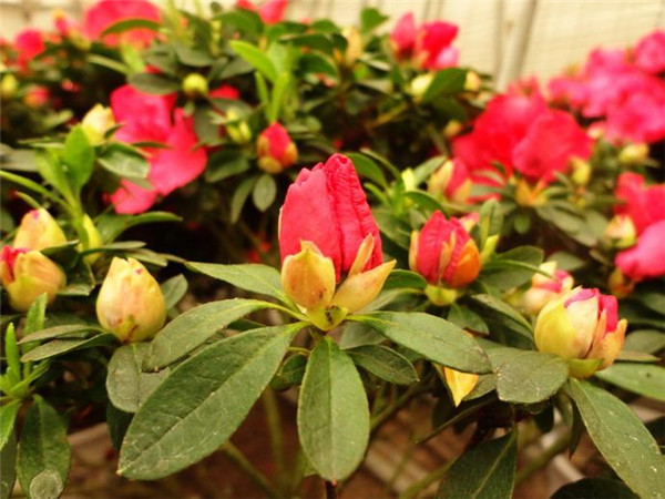 ������＾������������ ����һ��Ҫע�������