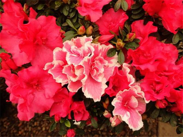 ������＾������������ ����һ��Ҫע�������