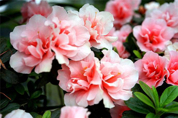 ������＾������������ ����һ��Ҫע�������