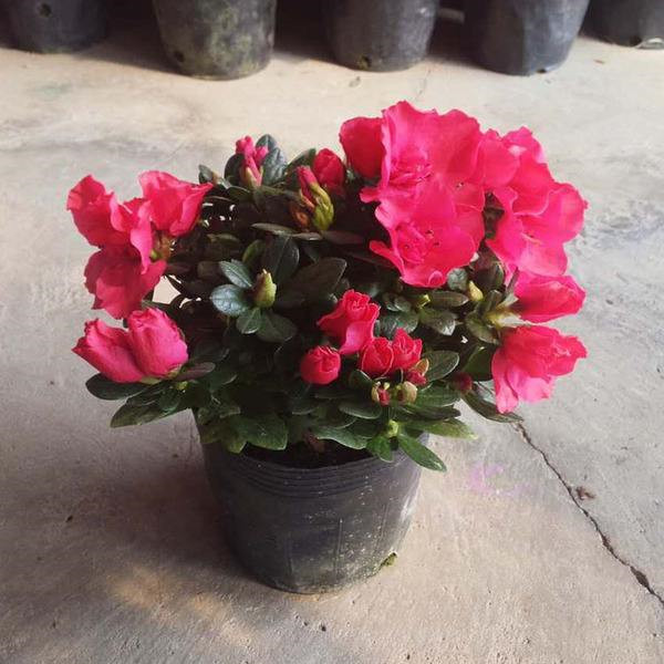 ������＾������������ ����һ��Ҫע�������