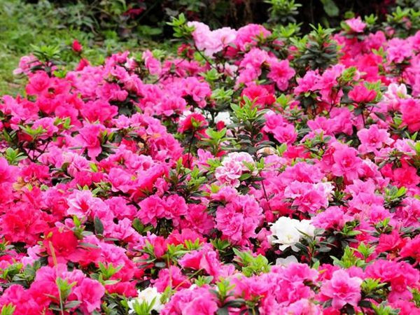 ������＾������������ ����һ��Ҫע�������