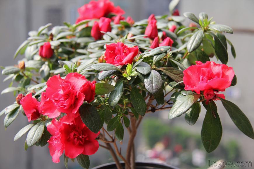 �����������ô��ֳ ��ʵֻҪ���������оͿ��Ի�������